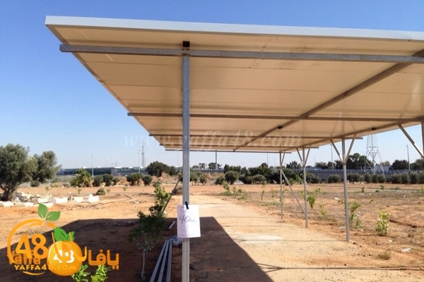 600-400000hadm mo3arashat3j (3).JPG